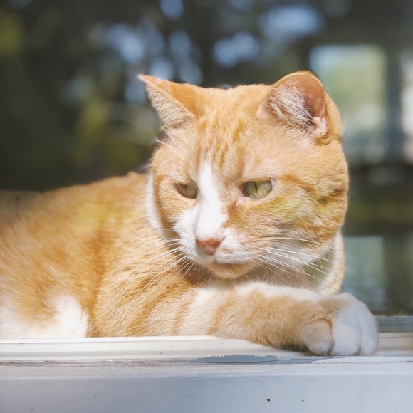 Meet your Posher, Wendy - Picture 1 of 1